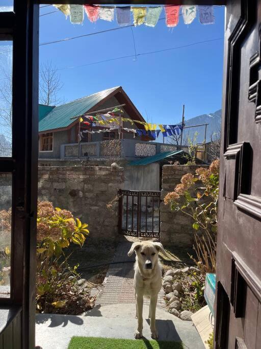 Gharsa - Your Mountain Home มะนาลี ภายนอก รูปภาพ